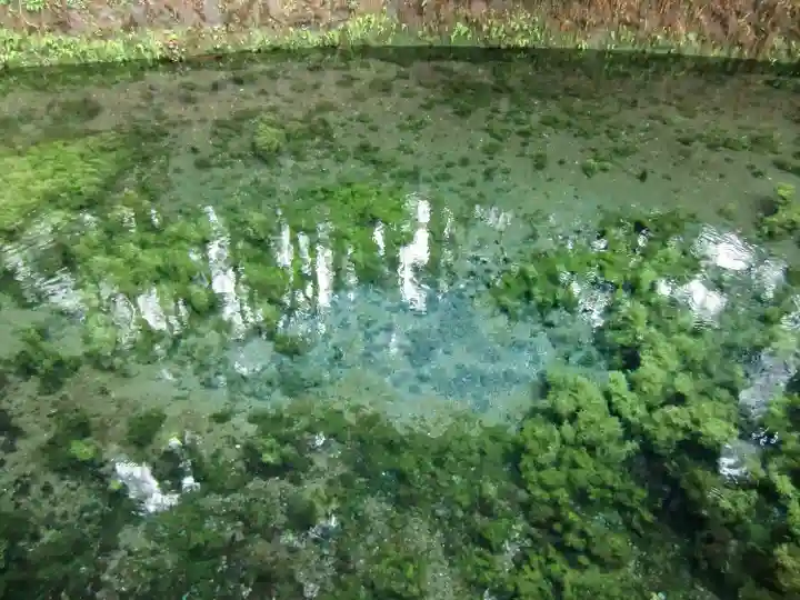 白川吉見神社(熊本県)