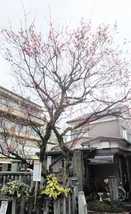 西光寺のその他建物