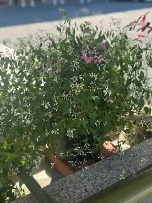 廣島護國神社(広島県)