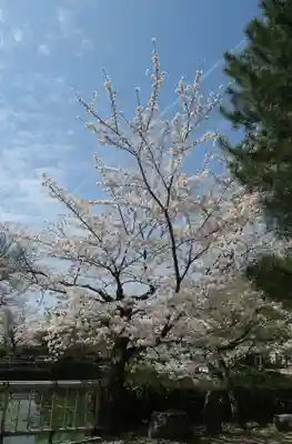 萬福寺(京都府)