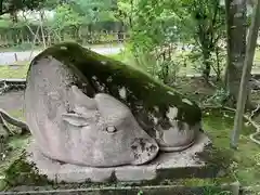 金澤神社の狛犬