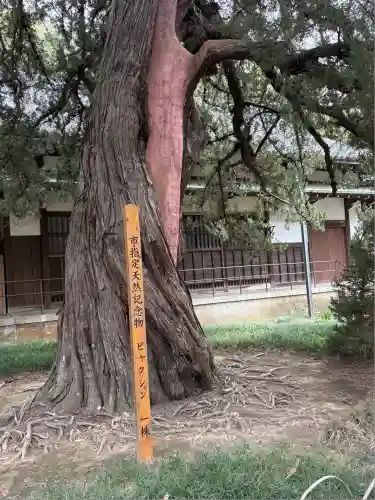 円覚寺(神奈川県)