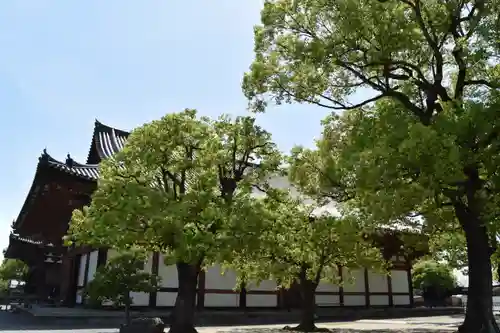 東寺（教王護国寺）の末社・摂社
