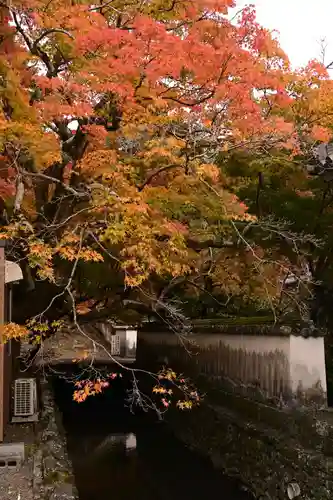 丈六寺(徳島県)