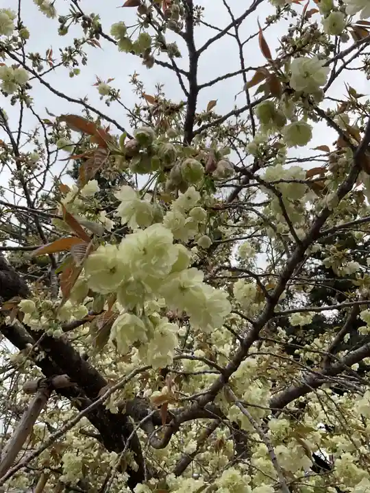 上地八幡宮(愛知県)