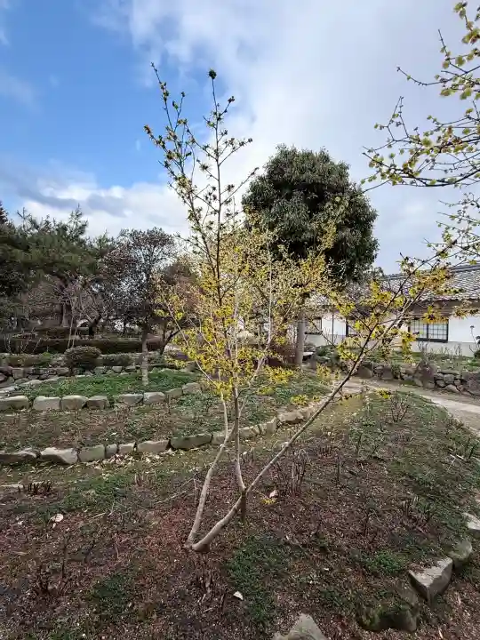 石光寺の{uncategorized: "未分類", other: "その他", undefined: "問題あり", building: "その他建物", grave: "お墓", sacred_gate: "鳥居", guardian: "狛犬", statue: "像", buddha: "仏像", history: "歴史", nature: "自然", garden: "庭園", animal: "動物", pagoda: "塔", temizu: "手水舎", mountain_gate: "山門・神門", sanctuary: "本殿・本堂", subordinate: "末社・摂社", art: "芸術", scenery: "景色", jizo: "地蔵", ema: "絵馬", goshuin: "御朱印", omikuji: "おみくじ", items: "授与品その他", amulet: "お守り", goshuincho: "御朱印帳", eats: "食事", festival: "お祭り", votive_dance: "神楽", shichigosan: "七五三参", wedding: "結婚式", experience: "体験その他", initially: "初詣", around: "周辺", anti_infection: "感染症対策"}