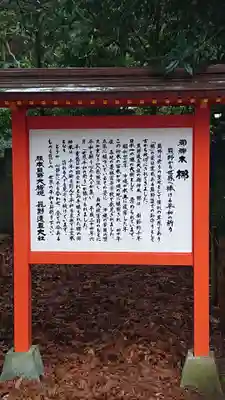 熊野速玉大社の歴史