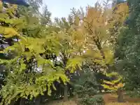 川北神社(埼玉県)