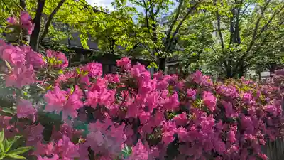 安井金比羅宮(京都府)