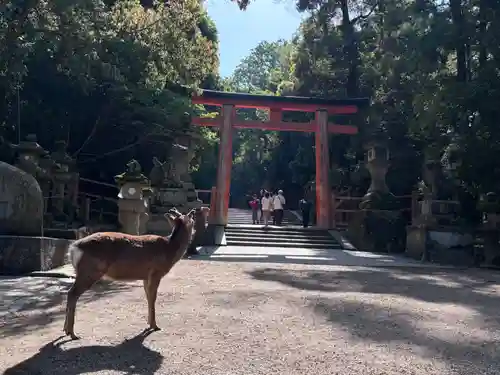 春日大社(奈良県)