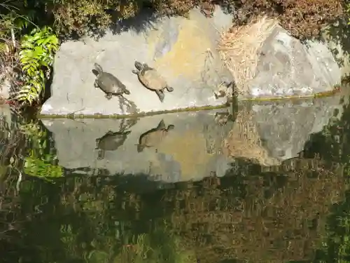 東漸寺(神奈川県)