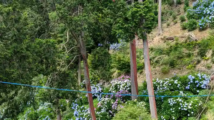 三鈷寺(京都府)