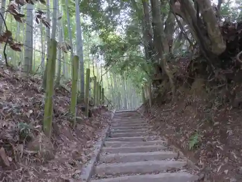 岡山稲荷大明神の自然