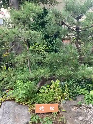蛇窪神社(東京都)