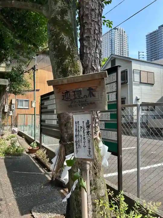 蝮ヶ池八幡宮(愛知県)