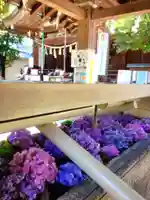 鳩森八幡神社の手水舎