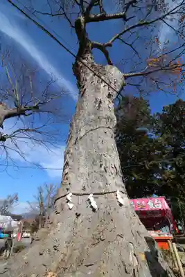 生島足島神社(長野県)