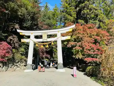 宝登山神社(埼玉県)