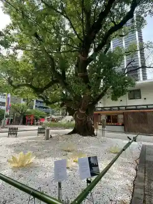 難波神社の{uncategorized: "未分類", other: "その他", undefined: "問題あり", building: "その他建物", grave: "お墓", sacred_gate: "鳥居", guardian: "狛犬", statue: "像", buddha: "仏像", history: "歴史", nature: "自然", garden: "庭園", animal: "動物", pagoda: "塔", temizu: "手水舎", mountain_gate: "山門・神門", sanctuary: "本殿・本堂", subordinate: "末社・摂社", art: "芸術", scenery: "景色", jizo: "地蔵", ema: "絵馬", goshuin: "御朱印", omikuji: "おみくじ", items: "授与品その他", amulet: "お守り", goshuincho: "御朱印帳", eats: "食事", festival: "お祭り", votive_dance: "神楽", shichigosan: "七五三参", wedding: "結婚式", experience: "体験その他", initially: "初詣", around: "周辺", anti_infection: "感染症対策"}