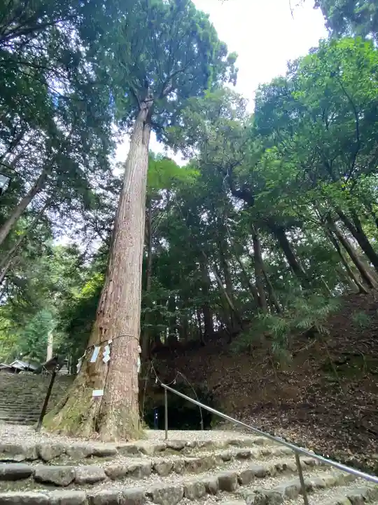 元伊勢内宮 皇大神社(京都府)