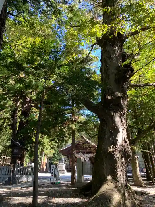 諏訪大社下社秋宮のその他建物