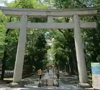 大國魂神社の鳥居