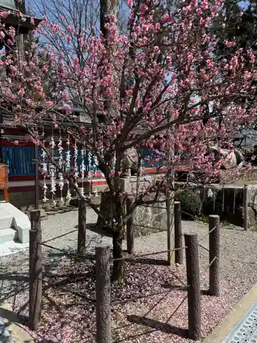 飛驒天満宮(岐阜県)