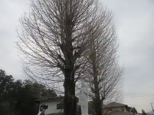 圓福寺(埼玉県)