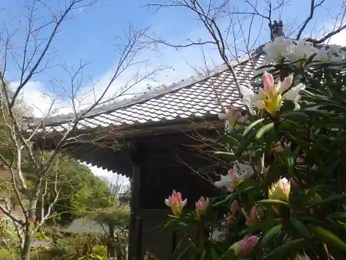 海蔵寺の庭園