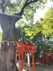 新田神社(東京都)