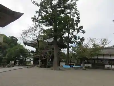 粉河寺(和歌山県)