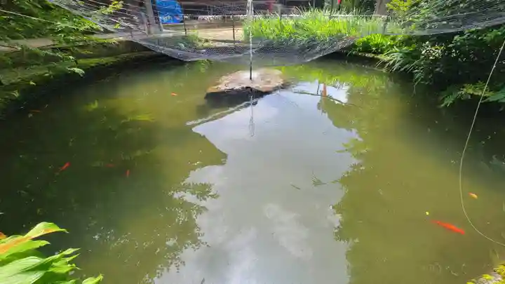 金毘羅寺(愛媛県)
