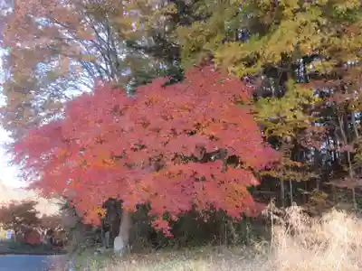 福蔵寺稲荷大明神(埼玉県)