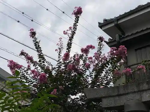 能勢妙見山別院（東京別院）の景色