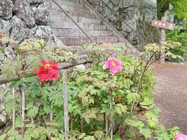 善峯寺(京都府)
