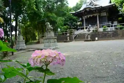 西八朔杉山神社のその他建物