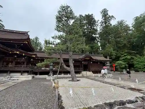 多賀大社(滋賀県)