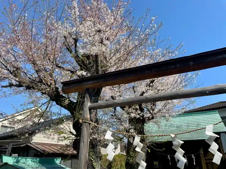 御嶽神社の{uncategorized: "未分類", other: "その他", undefined: "問題あり", building: "その他建物", grave: "お墓", sacred_gate: "鳥居", guardian: "狛犬", statue: "像", buddha: "仏像", history: "歴史", nature: "自然", garden: "庭園", animal: "動物", pagoda: "塔", temizu: "手水舎", mountain_gate: "山門・神門", sanctuary: "本殿・本堂", subordinate: "末社・摂社", art: "芸術", scenery: "景色", jizo: "地蔵", ema: "絵馬", goshuin: "御朱印", omikuji: "おみくじ", items: "授与品その他", amulet: "お守り", goshuincho: "御朱印帳", eats: "食事", festival: "お祭り", votive_dance: "神楽", shichigosan: "七五三参", wedding: "結婚式", experience: "体験その他", initially: "初詣", around: "周辺", anti_infection: "感染症対策"}
