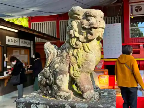 豊玉姫神社の狛犬