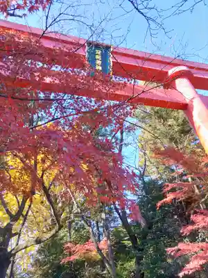 冠稲荷神社(群馬県)