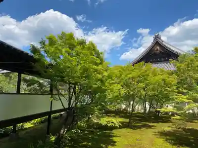 妙覺寺（妙覚寺）(京都府)