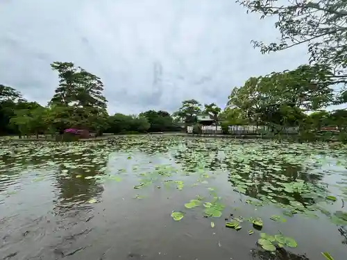 鶴岡八幡宮の庭園