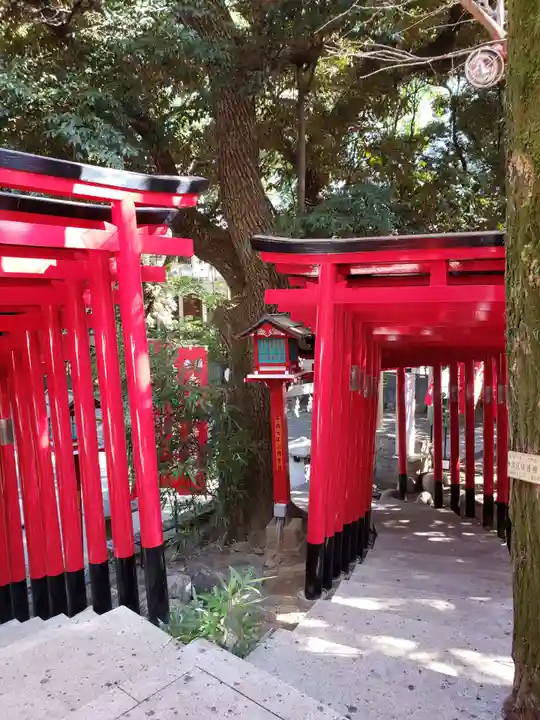 乃木神社(東京都)