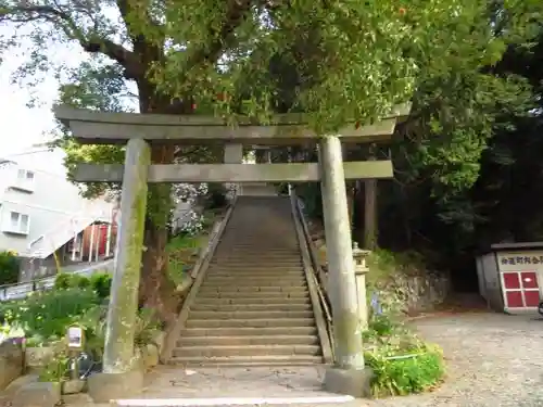 伊豆山神社の鳥居