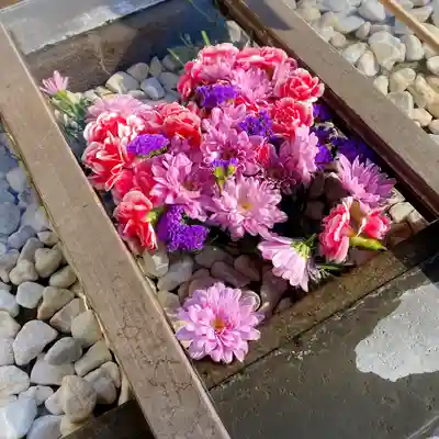 根岸八幡神社(神奈川県)