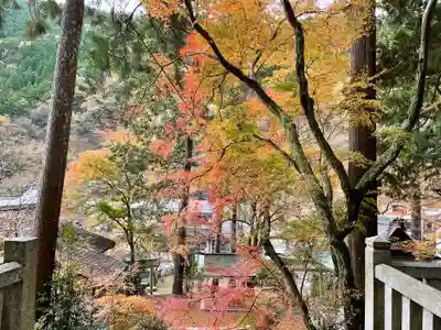 中川八幡宮社のその他建物