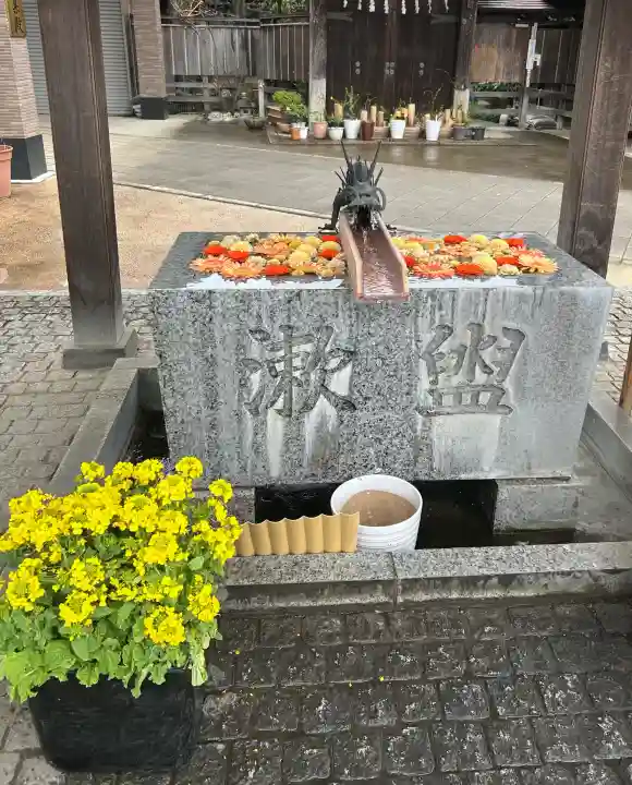 川越八幡宮の{uncategorized: "未分類", other: "その他", undefined: "問題あり", building: "その他建物", grave: "お墓", sacred_gate: "鳥居", guardian: "狛犬", statue: "像", buddha: "仏像", history: "歴史", nature: "自然", garden: "庭園", animal: "動物", pagoda: "塔", temizu: "手水舎", mountain_gate: "山門・神門", sanctuary: "本殿・本堂", subordinate: "末社・摂社", art: "芸術", scenery: "景色", jizo: "地蔵", ema: "絵馬", goshuin: "御朱印", omikuji: "おみくじ", items: "授与品その他", amulet: "お守り", goshuincho: "御朱印帳", eats: "食事", festival: "お祭り", votive_dance: "神楽", shichigosan: "七五三参", wedding: "結婚式", experience: "体験その他", initially: "初詣", around: "周辺", anti_infection: "感染症対策"}