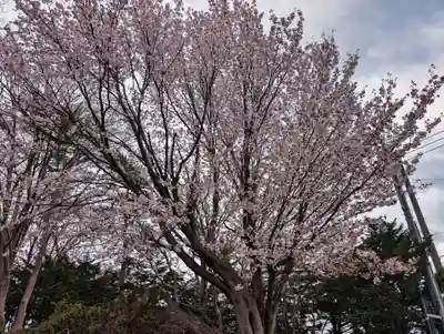 江別神社(北海道)