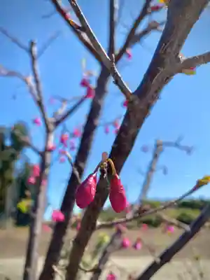 鹿嶋三嶋神社(茨城県)