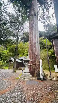 宇波西神社(福井県)
